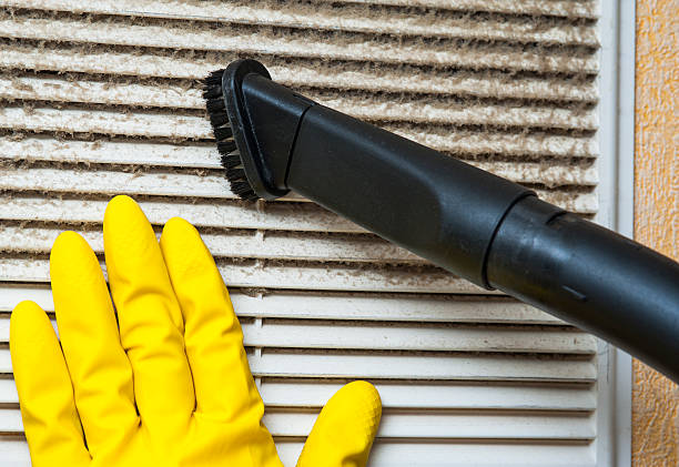 Best Air Duct Cleaning Near Me  in Three Rivers, MI